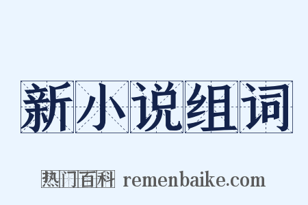 新小说组词是什么意思的图片